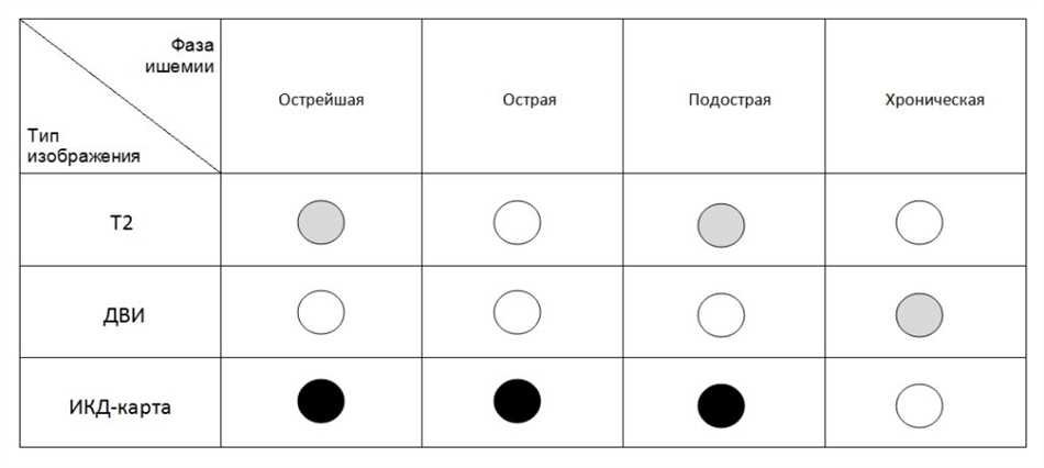 Структура и функции субкортикальных областей