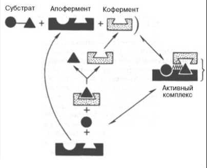 Что такое субстрат в химии?