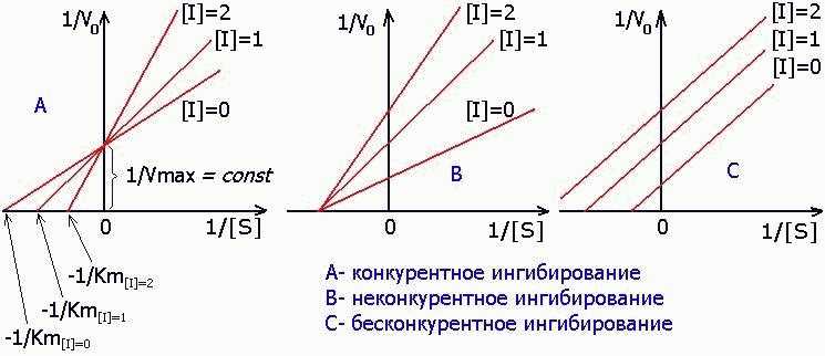 Что значит ингибирование