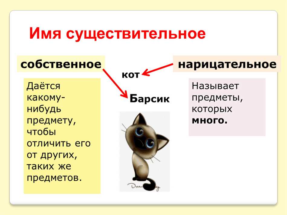 Грамматические характеристики