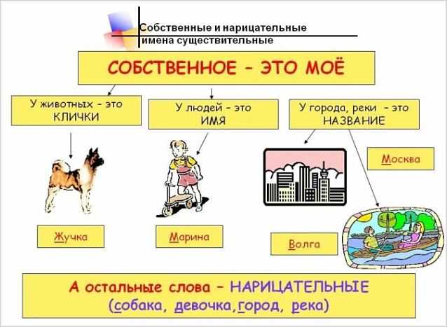 Что значит нарицательное имя существительное