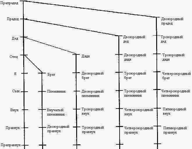 Троюродный брат: понятие, определение и значение