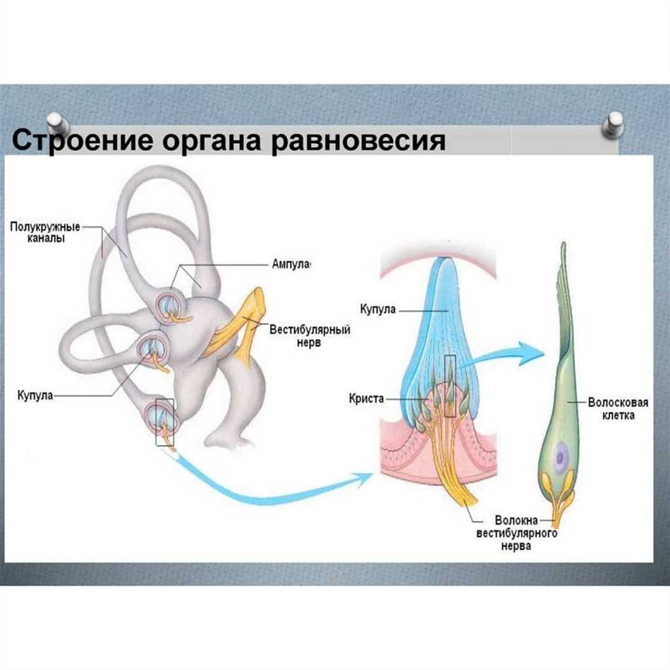 Способы предотвращения