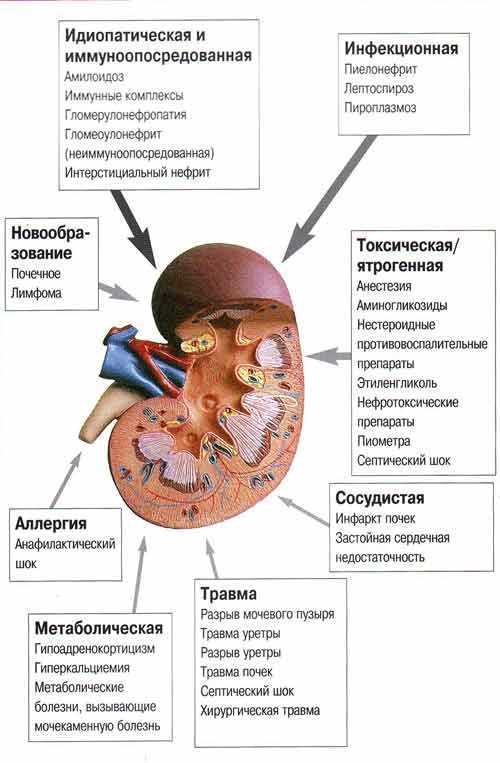 Дополнительные исследования