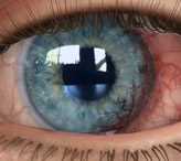 Виды трихроматического зрения