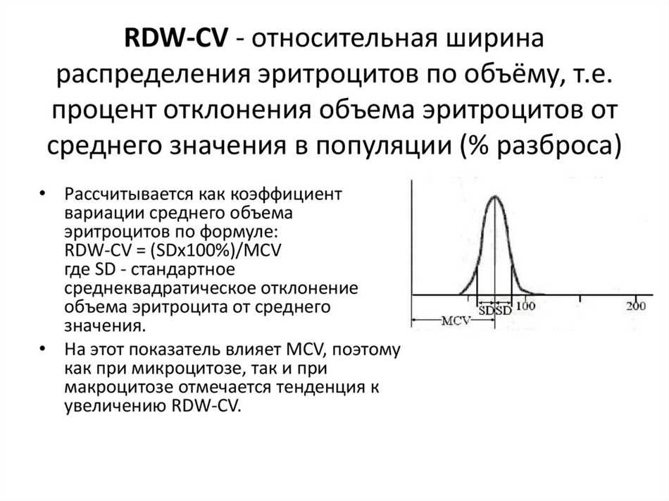 Лечение и коррекция пониженного уровня RDW-CV