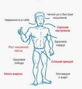 Что такое индекс свободных андрогенов у мужчин?