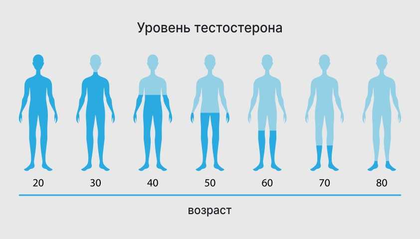 Индекс свободных андрогенов у мужчин: значение, норма, показатели и диагностика