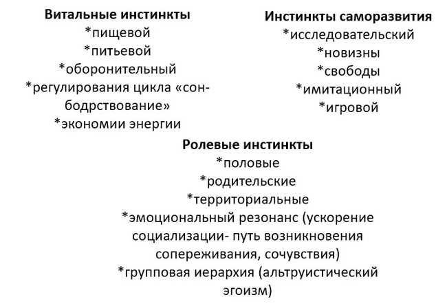 Примеры инстинктов у разных видов животных