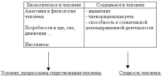 Особенности проявления инстинктов в обществе