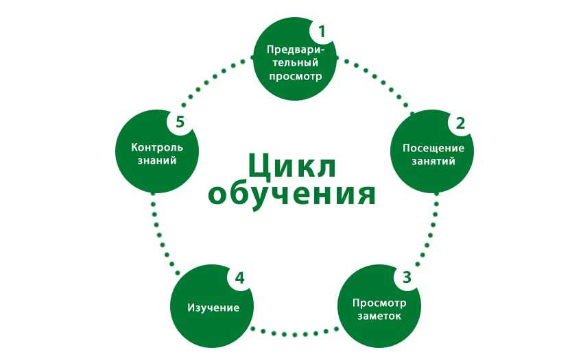 Какую информацию можно изучить во время интенсивного обучения?