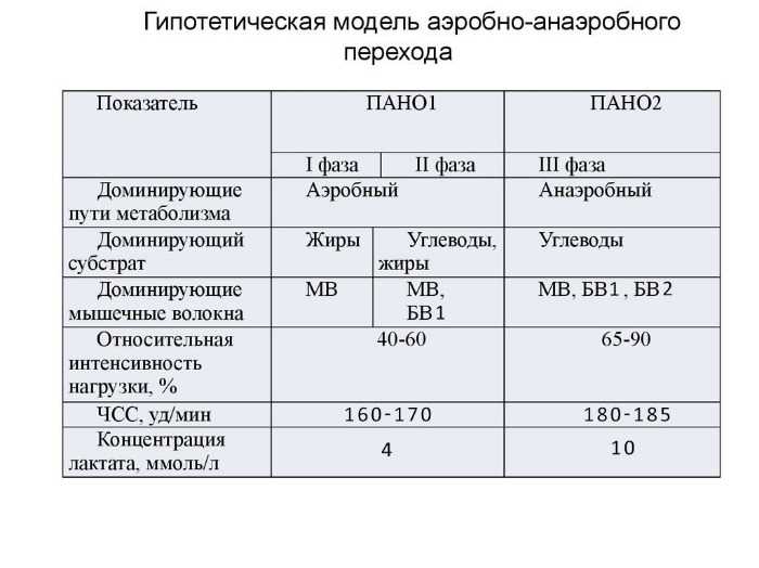 Интенсивность нагрузки: определение и значение для тренировок