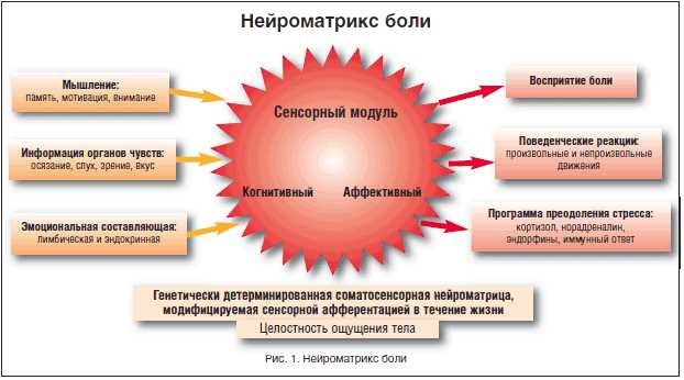 Иррадиация боли в медицине: основные аспекты и методы лечения