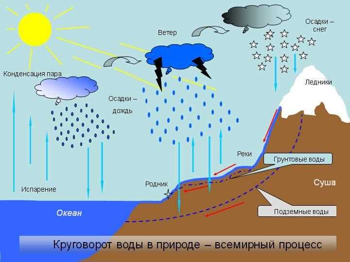 Испарение в географии: понятие и примеры, изучаемые в 6 классе