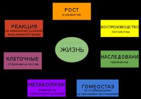 Источник перевода: понятие, виды и принципы использования