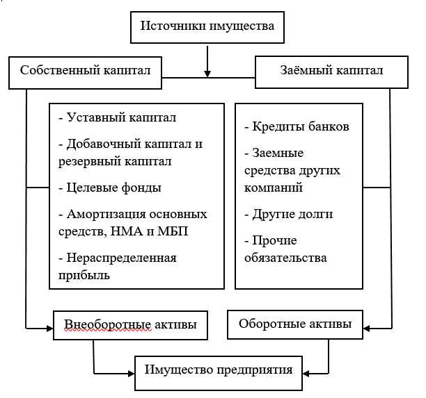 Трудовая деятельность