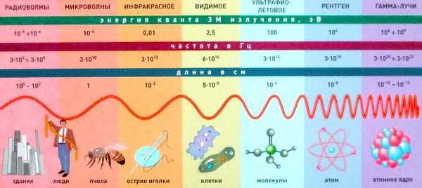 Влияние излучения на организм