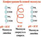 Изоэлектриическая фокусировка