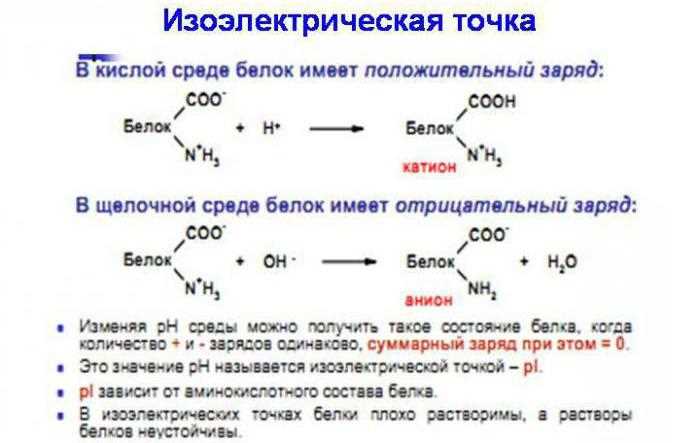 Заключение: