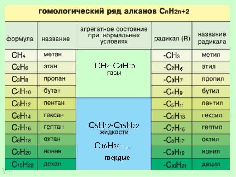 Изомеры и гомологи: понимание и отличия