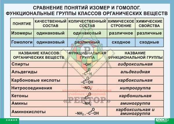 Изомеры и гомологи в химии: понятие и особенности