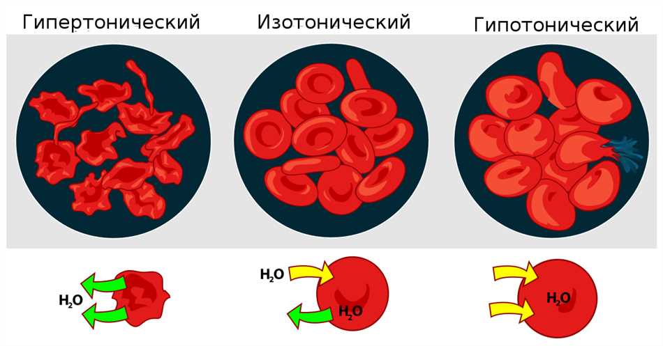 Механизм действия изотонических растворов