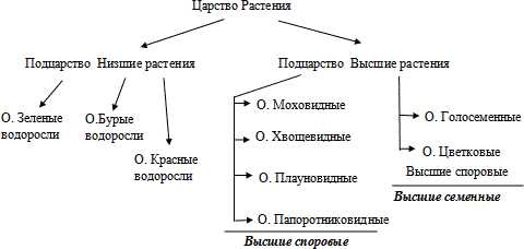 Экологическая роль мхов