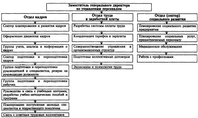 Кадры в управлении персоналом: понятие и значение