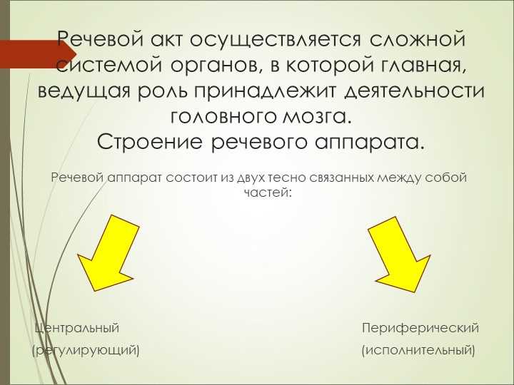 Какая деятельность принадлежит ведущая роль в речевом акте