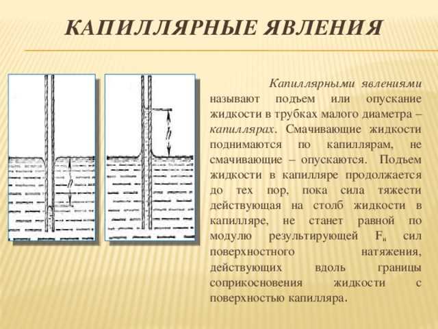 Капилляры в физике: понятие, свойства и применение