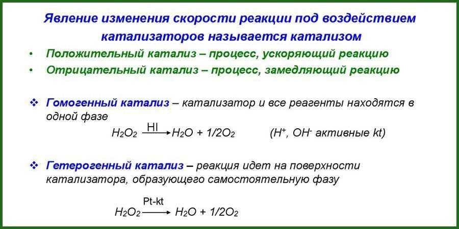 Энзимные катализаторы