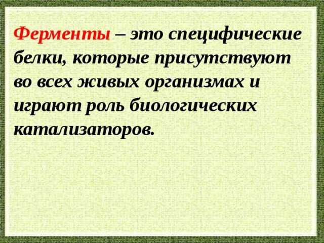 Раздел 4: Примеры катализаторов в биологии