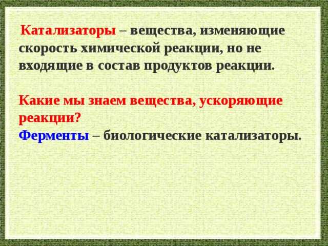 Катализатор в биологии: определение и значение