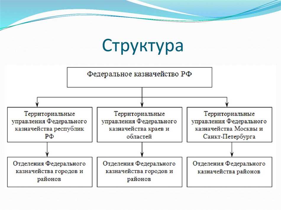 Казначейство России: сущность, функции и особенности деятельности