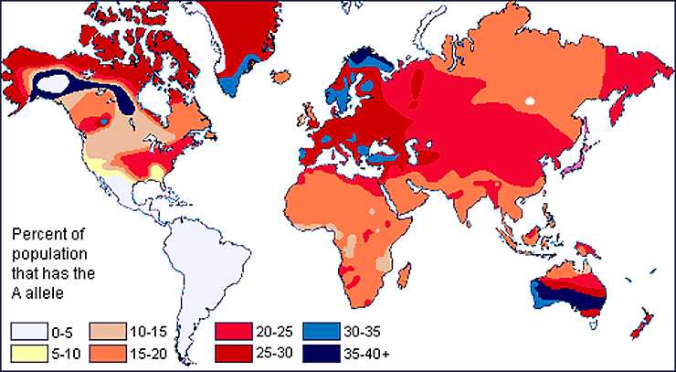 3. Важность при трансфузиях крови