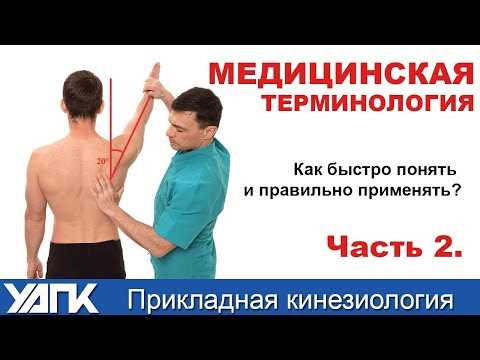 Кинезиология и спорт