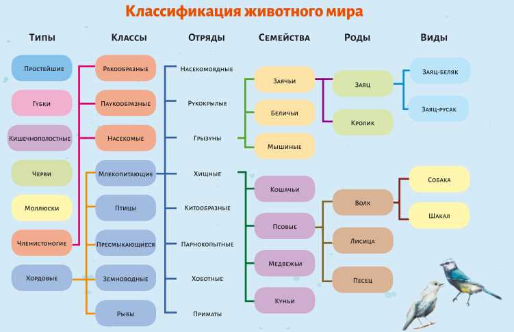 Морфологический принцип