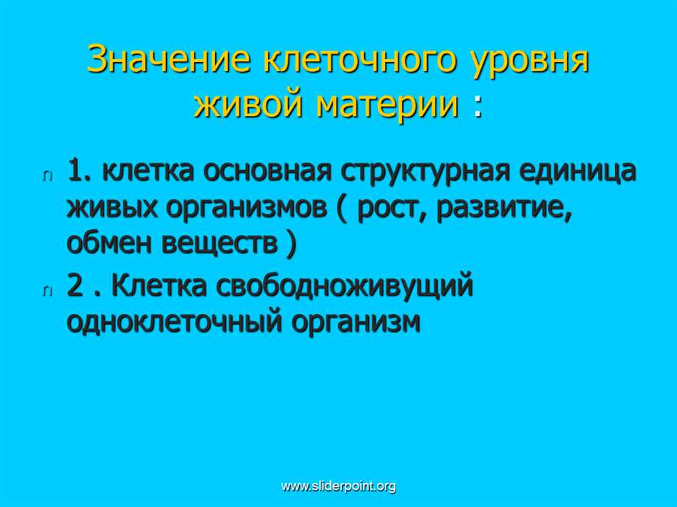 Клеточный уровень: кратко о сути