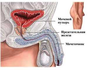 Определение клизмы