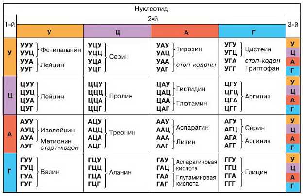 Кодонное кодирование