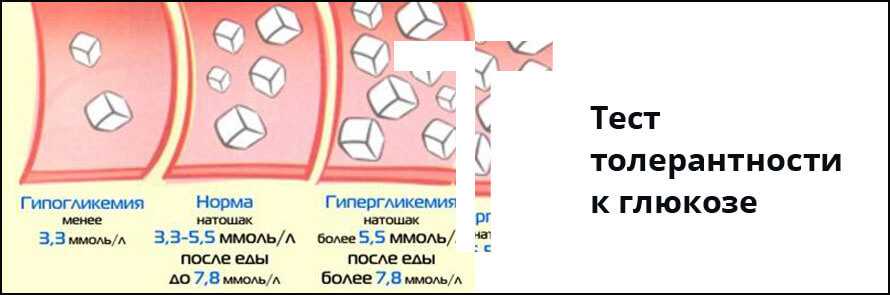 Причины повышенного коэффициента ретикулоцита у собак