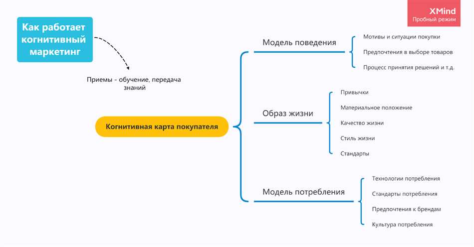 Когнитивные навыки: понятие, типы и их значение