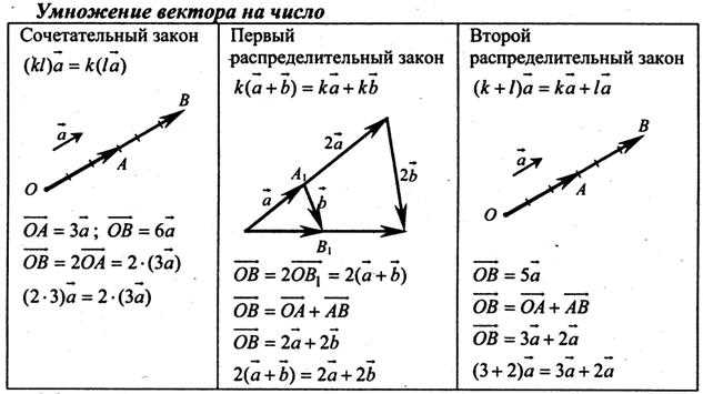 Коллинеарные и неколлинеарные векторы: геометрия 9 класс