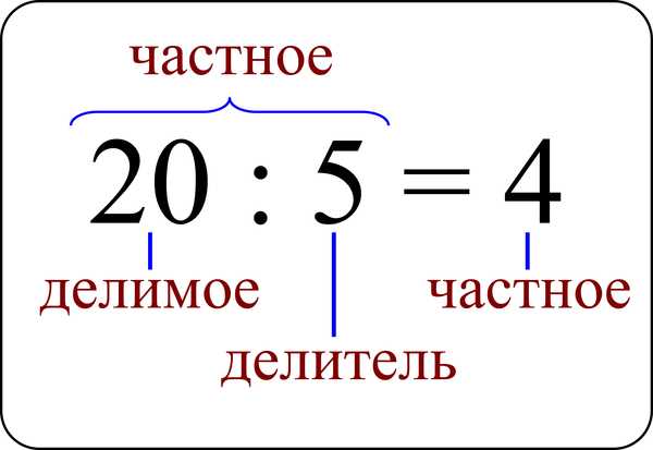 Компоненты в математике 2 класс: примеры и правило