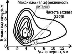 Особенности взаимодействия в конкуренции в экологии: примеры