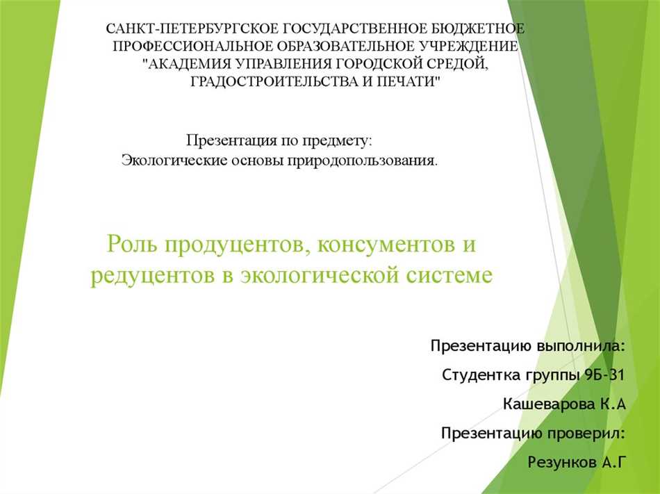 Консументы в экологии: определение и роль в экосистеме