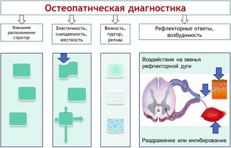 Ключевые этапы контрольного осмотра