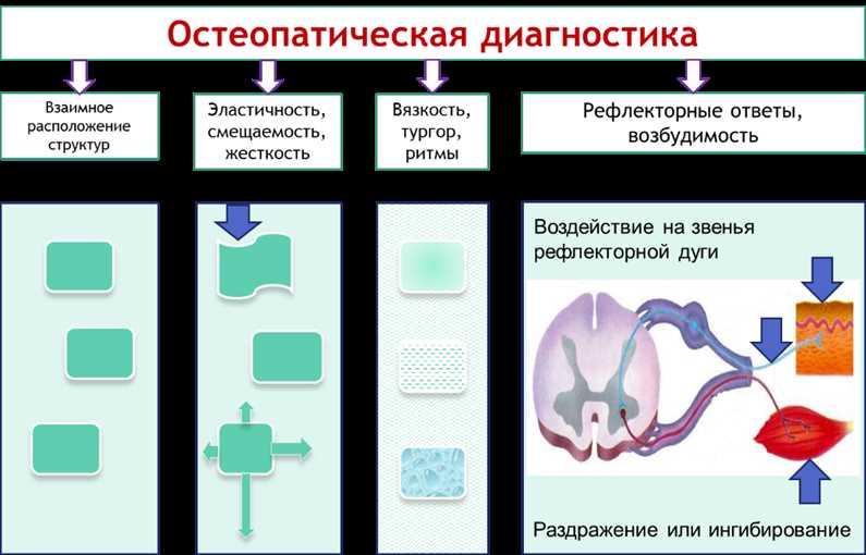 Понятие контрольного осмотра