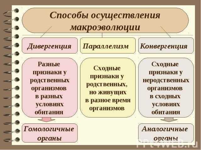 3. Интернет вещей