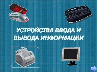 Координатные устройства ввода: определение, принцип работы и виды